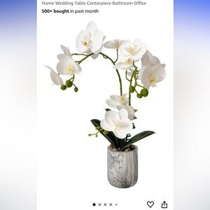 BRAND NEW Elegant White Orchid Arrangement in Marble Pot